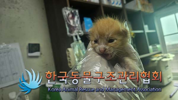 한국동물구조관리협회_411306202400731